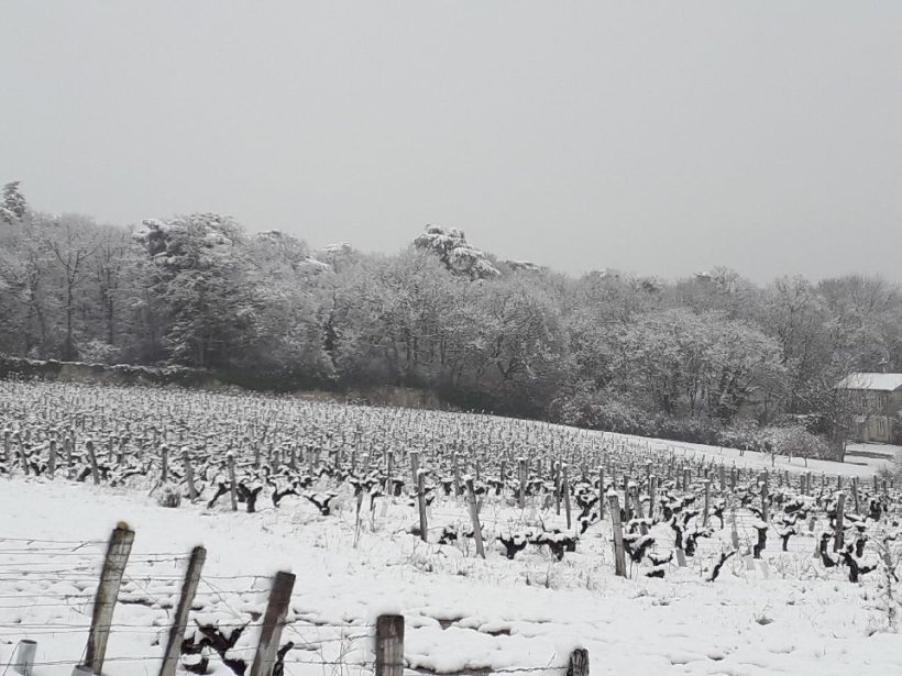 Notre vignoble du Beaujolais sous la neige Notre vignoble du Beaujolais sous la neige