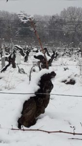 beaujolais sous la neige