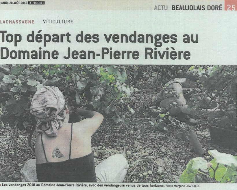 Vendanges ! – Le progrès – Mardi 28 août Vendanges ! – Le progrès – Mardi 28 août