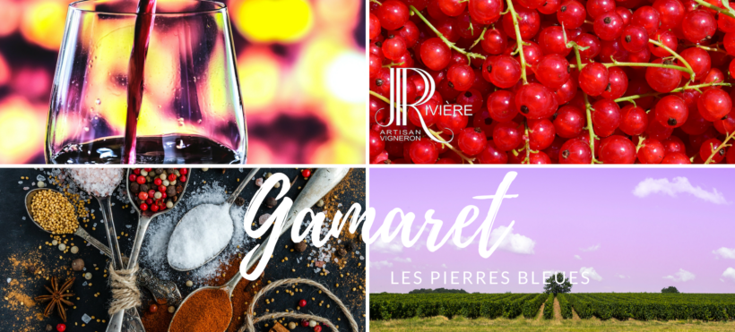 Le Gamaret…. ? Le Gamaret…. ?