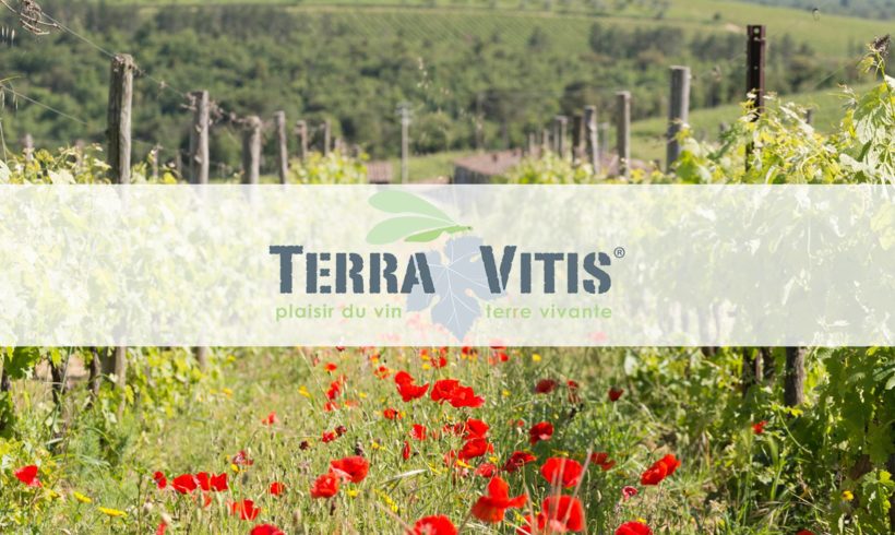 Certification « TERRA VITIS »