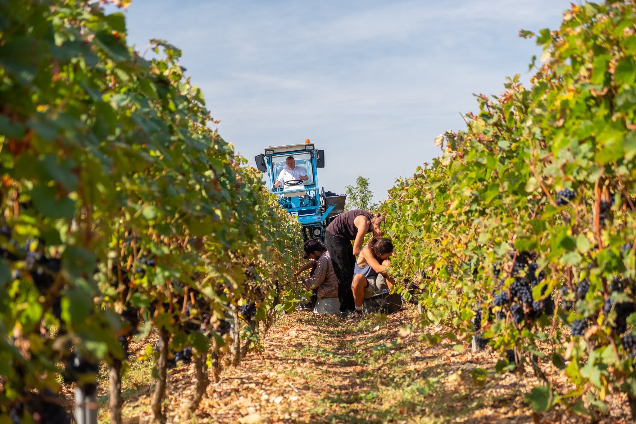 Domaine JeanPierre Rivière