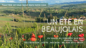 Beaujolais caveau
