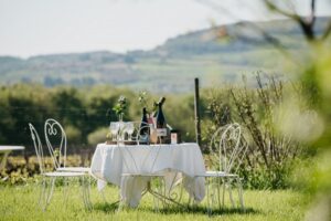 BEAUJONOMIE 2025 credits photos Vins du Beaujolais Floriane Tanneur