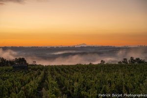 patrickberjotphotographie_secheresseenbeaujolais1