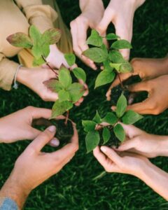 environnement