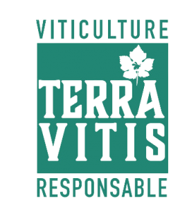 Terra vitis logo